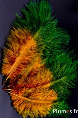 Struzzo - 30-40 cm - dorato azteco-verde